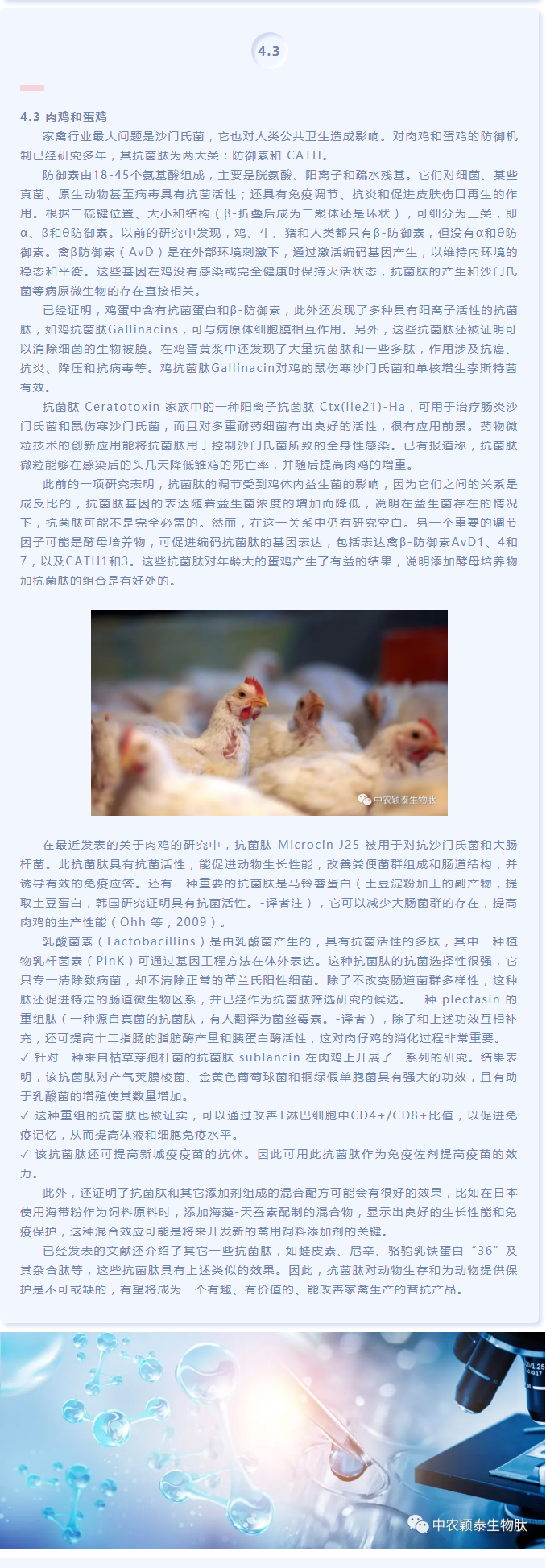 抗菌肽作為替抗飼料添加劑對動物生產(chǎn)、食品安全和公共衛(wèi)生影響的綜述（下）_03