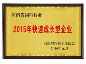 2015年快速成長(zhǎng)型企業(yè)